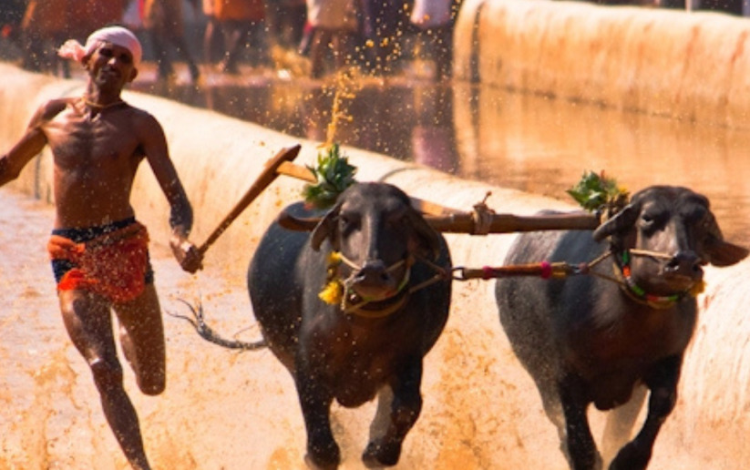 KAMBALA image 1