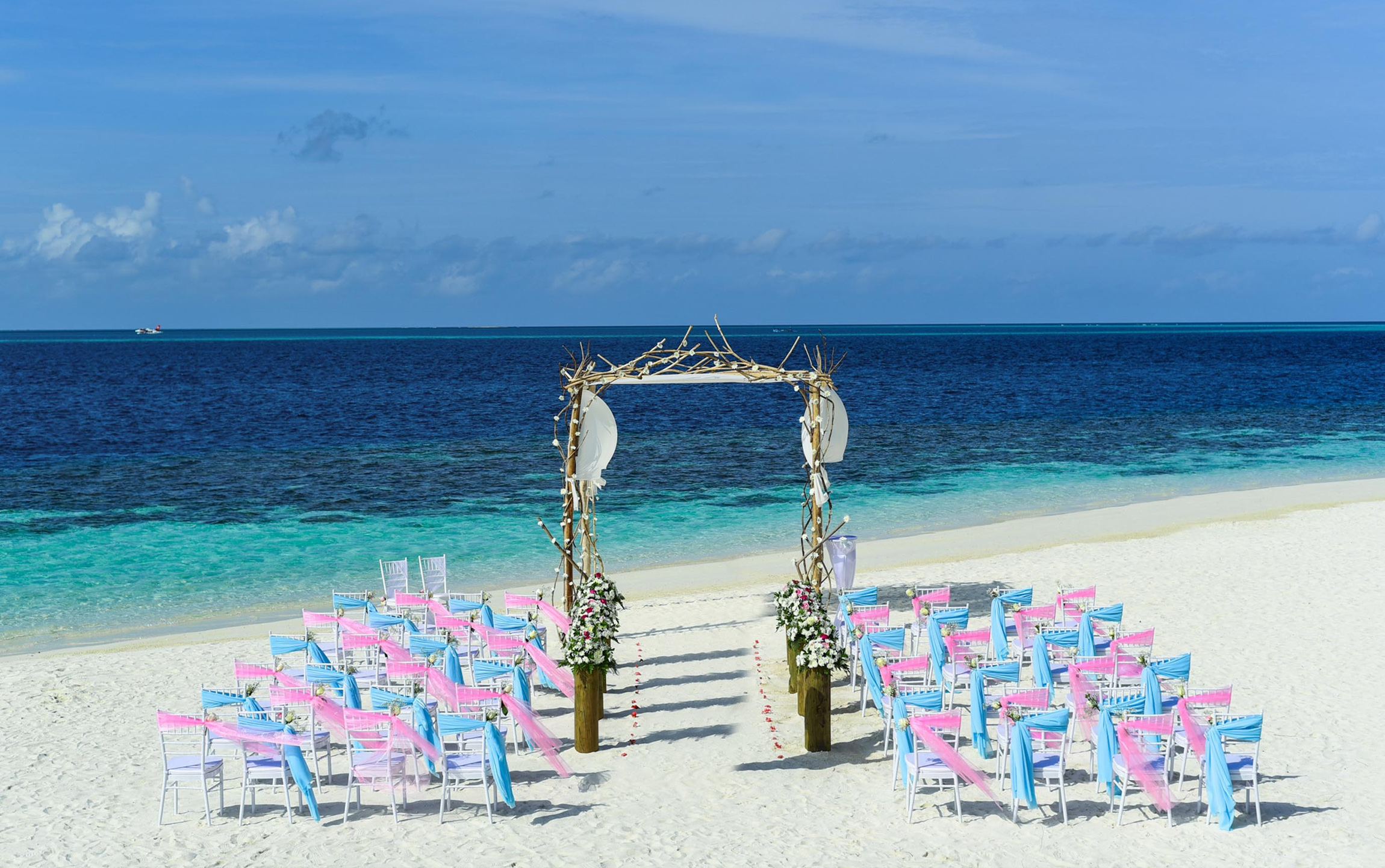 WEDDING ON THE BEACH image 2
